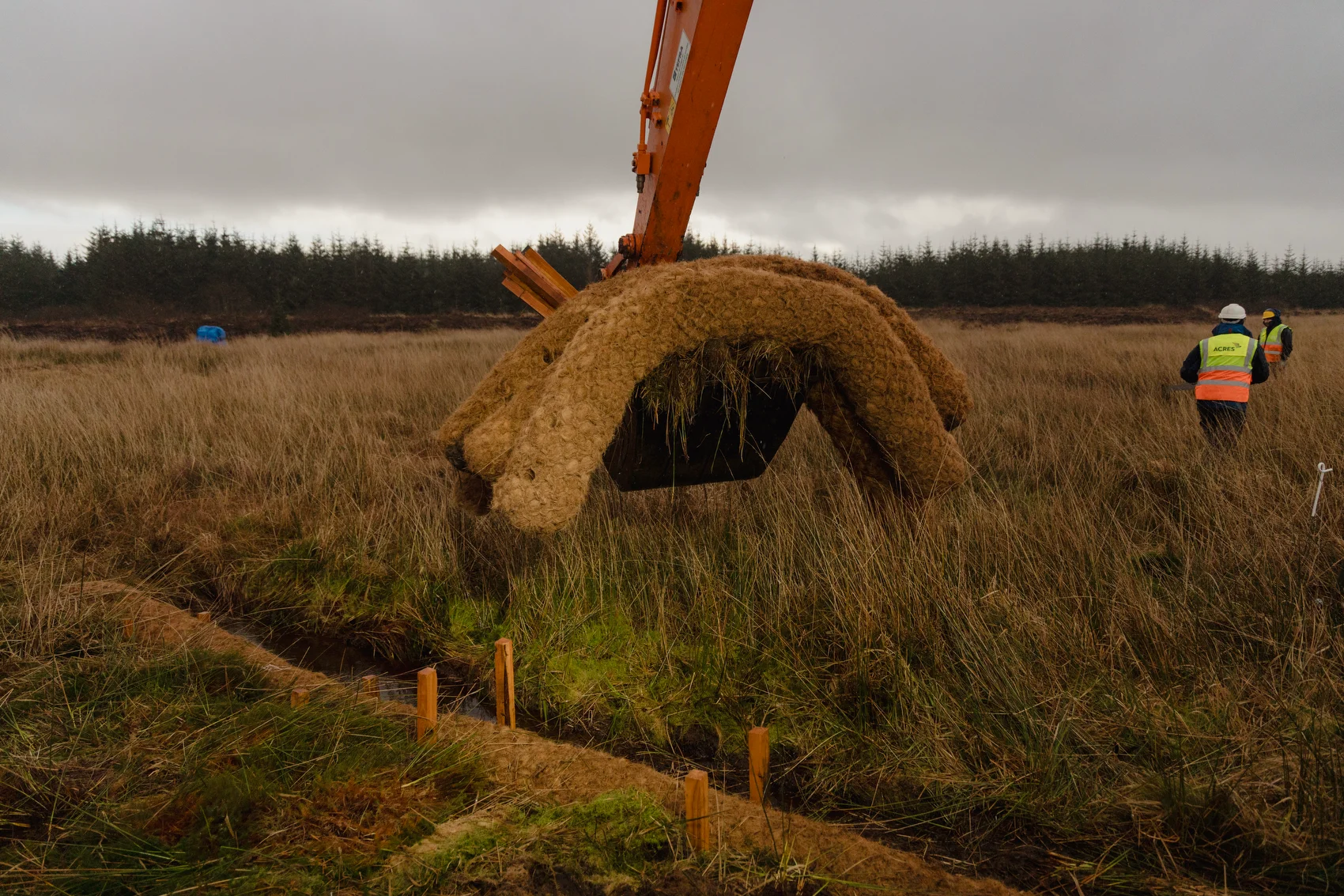 Coir Logs — 1