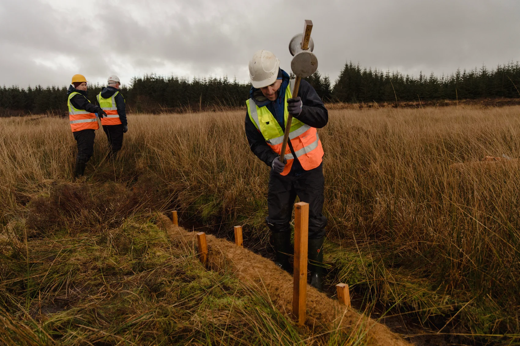 Coir Logs — 2