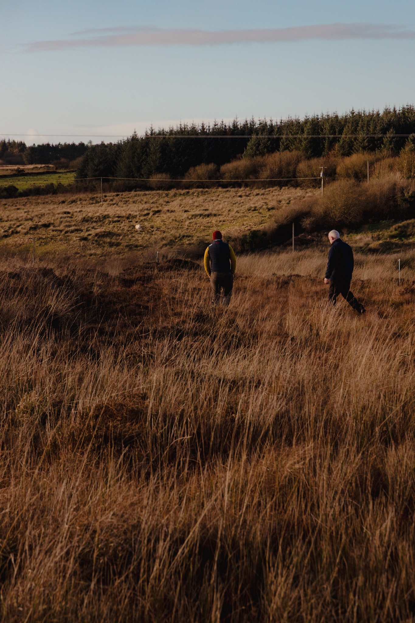 Two people walking across the bog
