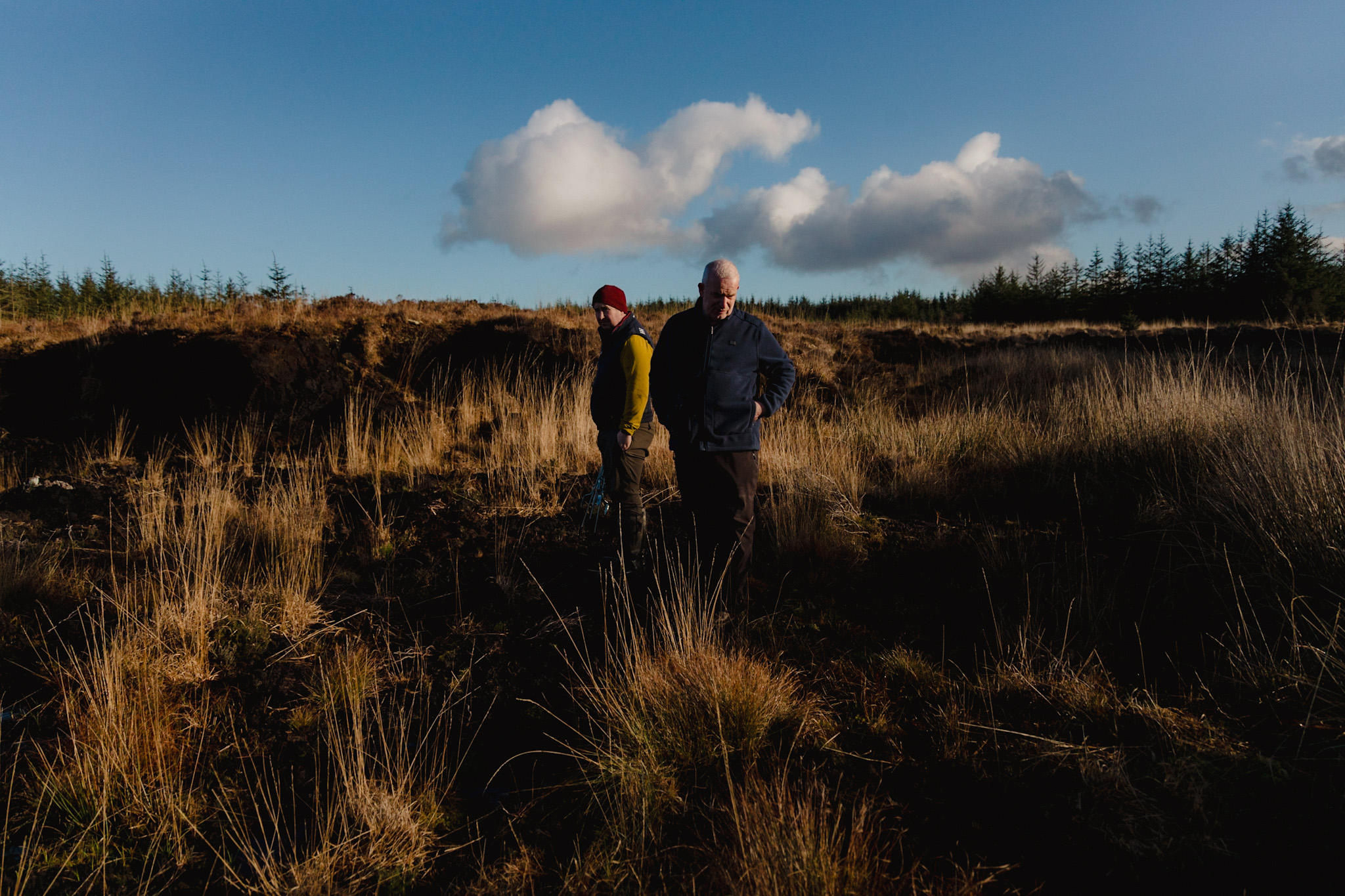 Workers walking across the restored peatland